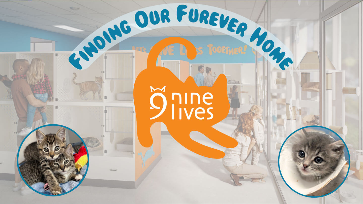 Ways to Give – Nine Lives